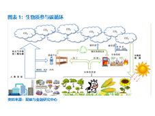 生物质能在发电领域的广泛应用：甲醇发电、城市垃圾发电……