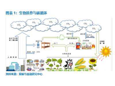 生物质能在发电领域的广泛应用：甲醇发电、城市垃圾发电……