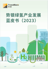 2023绿氢产业发展蓝皮书：中船派瑞、隆基氢能、阳光氢能等碱性电解槽企业分析