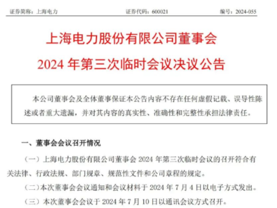 上海电力股份有限公司总经理职务调整