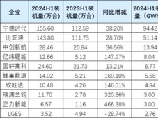 2024年1-6月国内动力电池企业TOP10：宁德时代、比亚迪、中创新航、亿纬锂能等