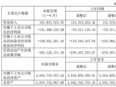 亿华通、国鸿氢能、金源氢化等三家上市氢企公布半年度财报，“赔本买卖”何时休？