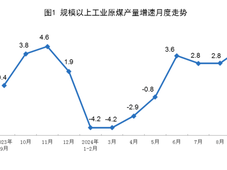 国家统计局：2024年9月份我国能源生产情况