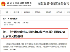 《中国禁止出口限制出口技术目录》：磷酸铁锂拟列入限制出口技术名单！