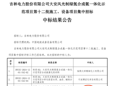 大安风光制绿氢合成氨一体化项目13个标段招中标最新动态