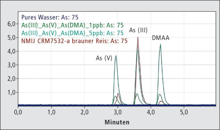 图3 LC-ICPMS记录的砷物种分析色谱图